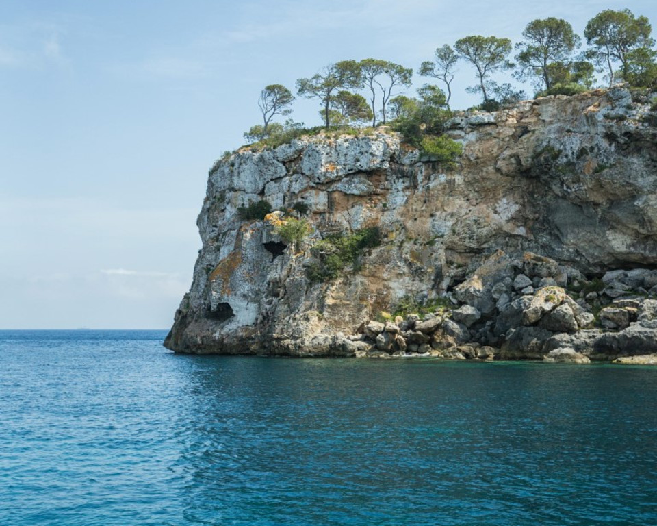 ​Mediterranean