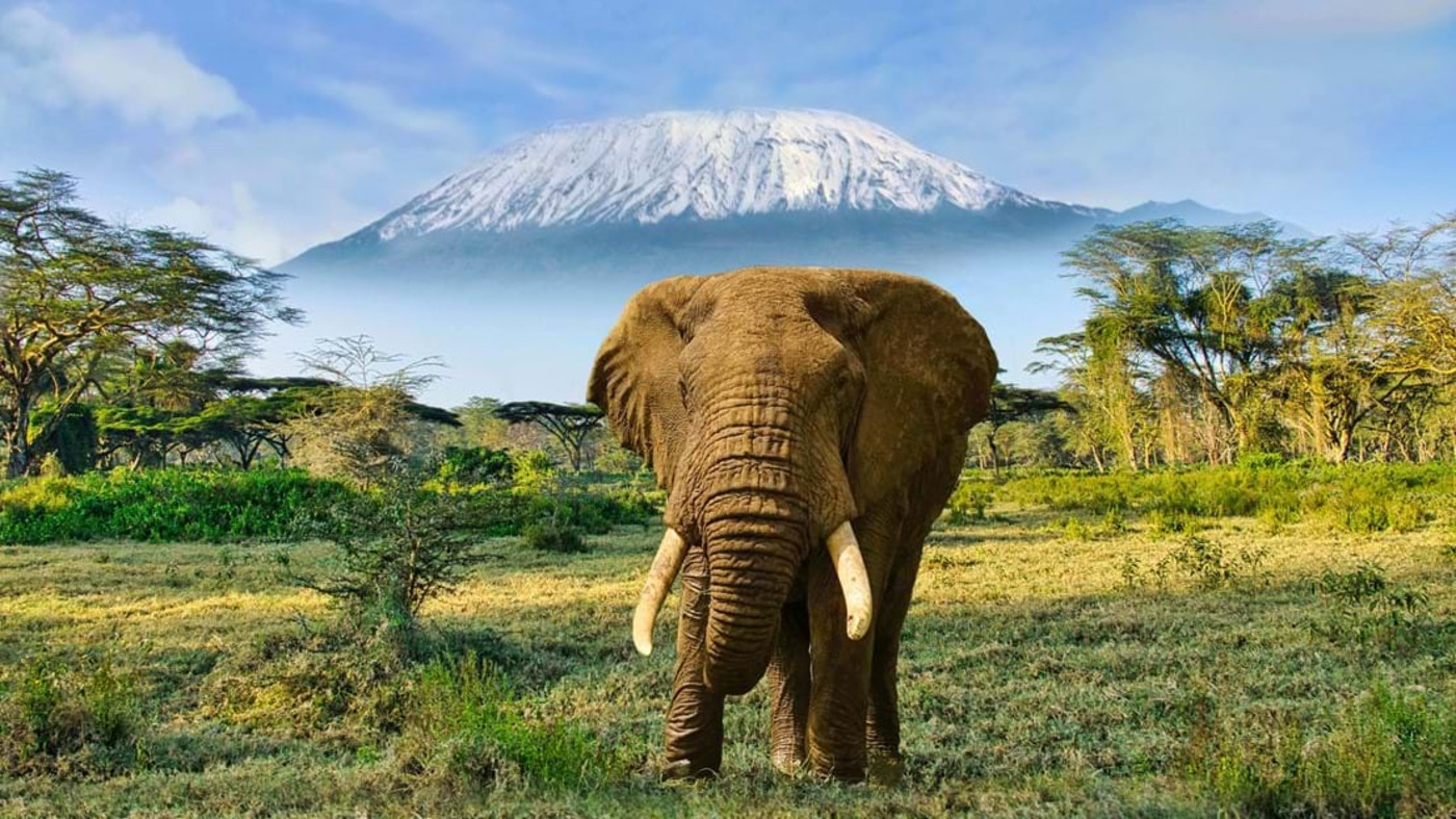 Kenyan Wildlife & Coastal Explorer Exclusively Solos 1 (2)